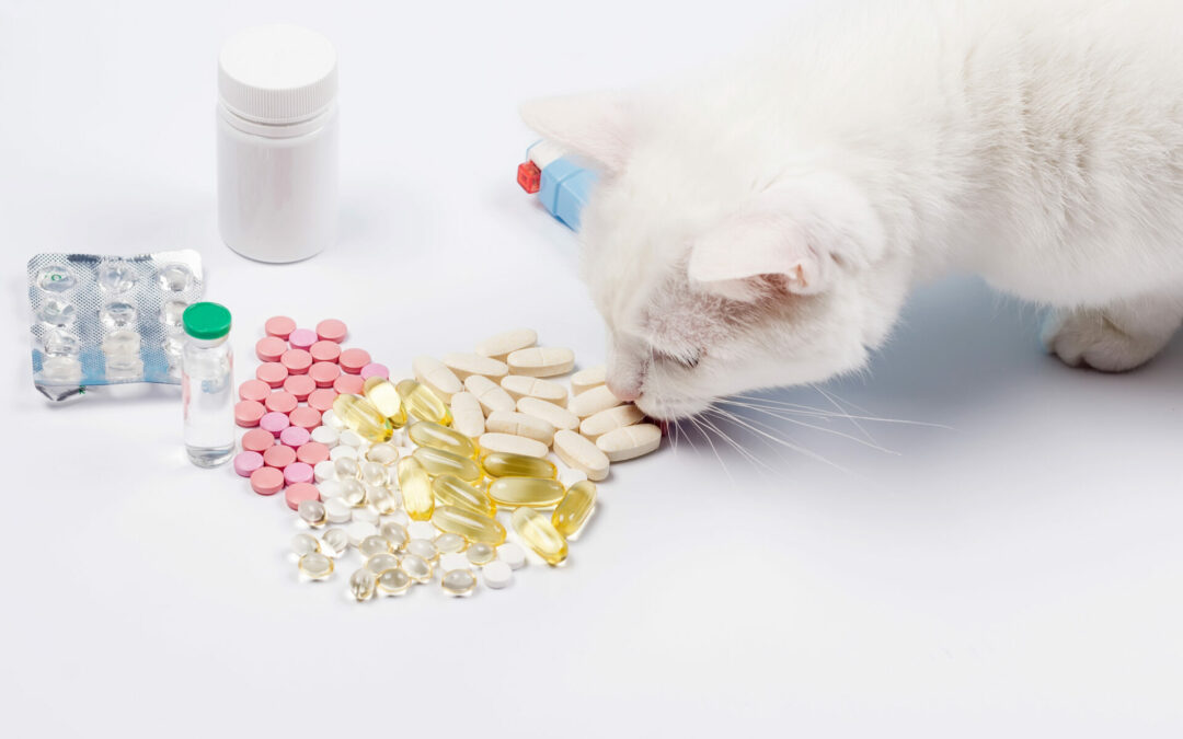 Otravy psů a koček léčivy